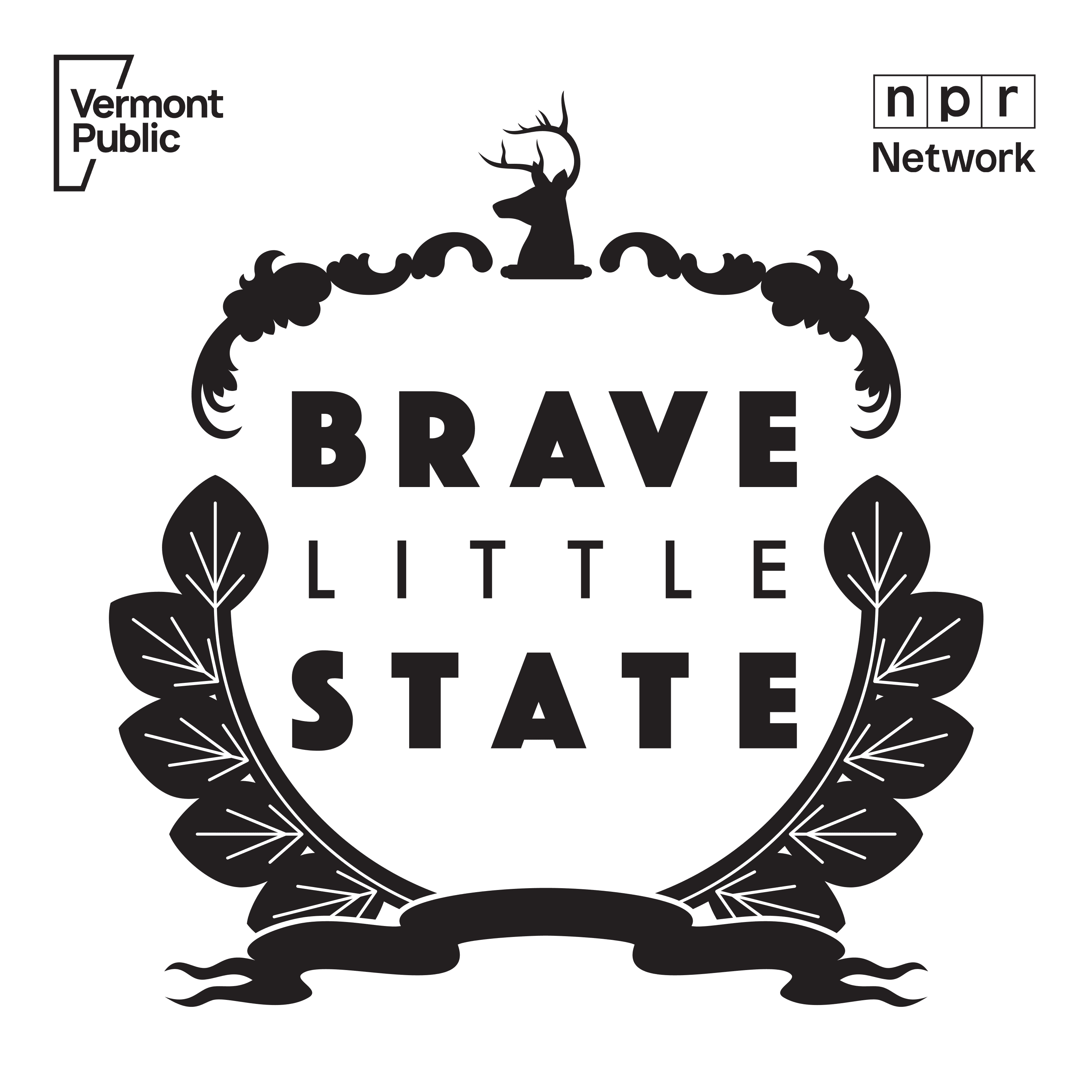 Brave Little State cover