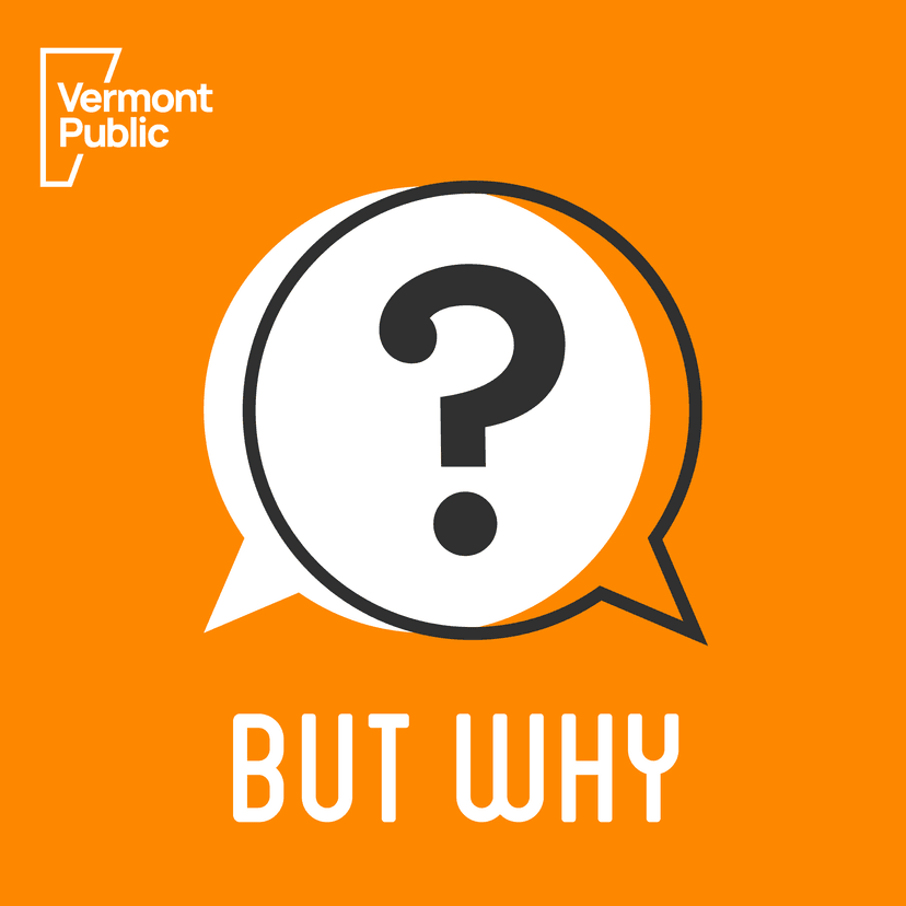 But Why: A Podcast for Curious Kids cover