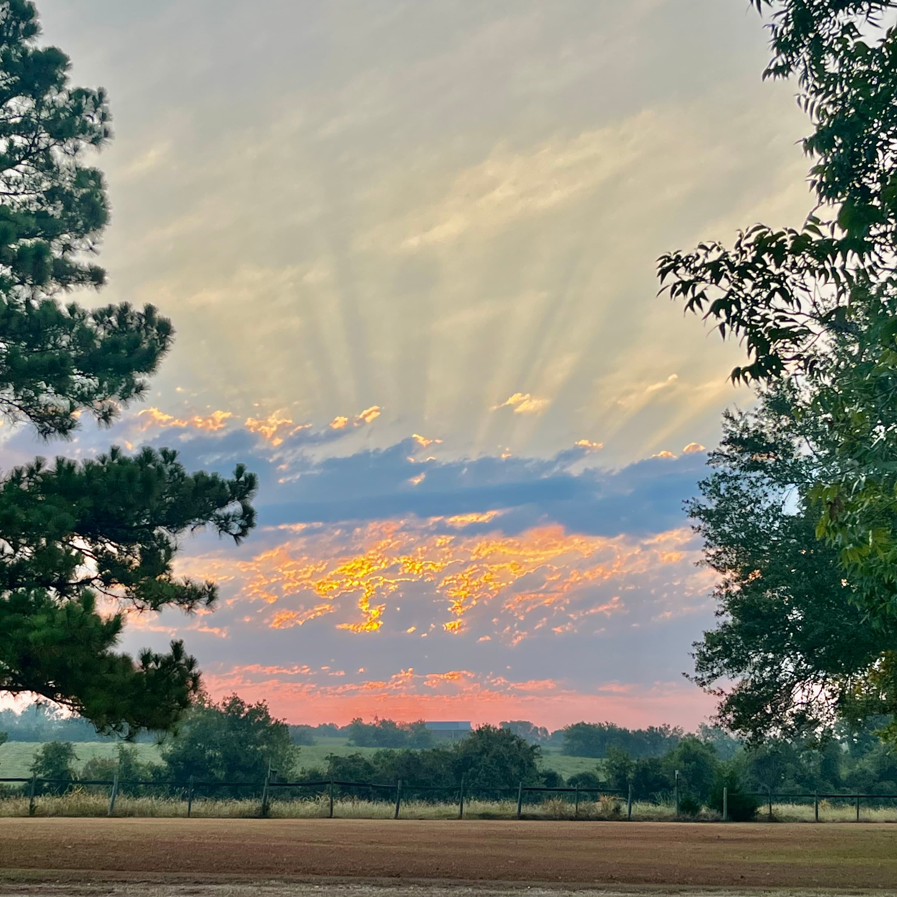 Jodo Chapter 2 - Chobo-Ji's Zen Podcast cover