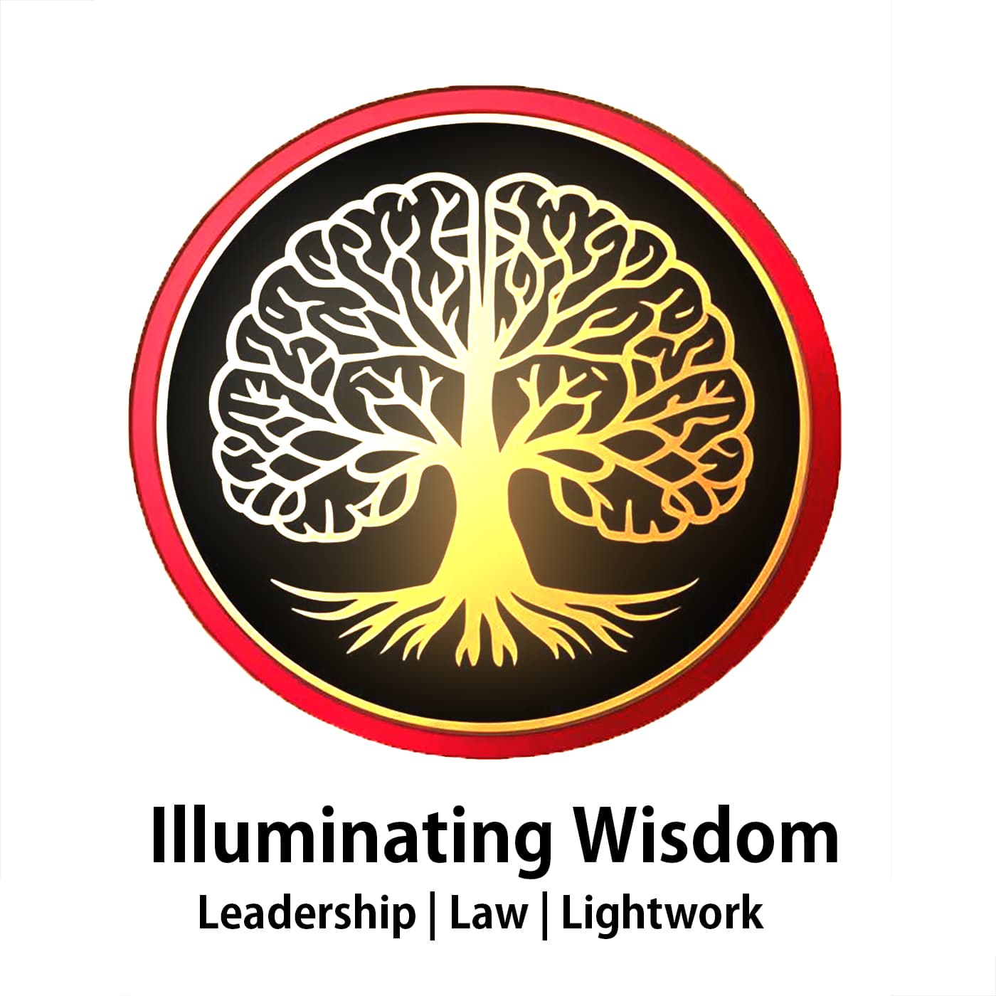 Leadership, Law, & Lightwork cover