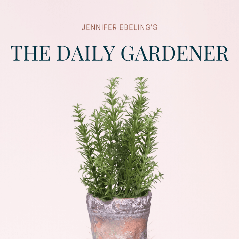 The Daily Gardener cover
