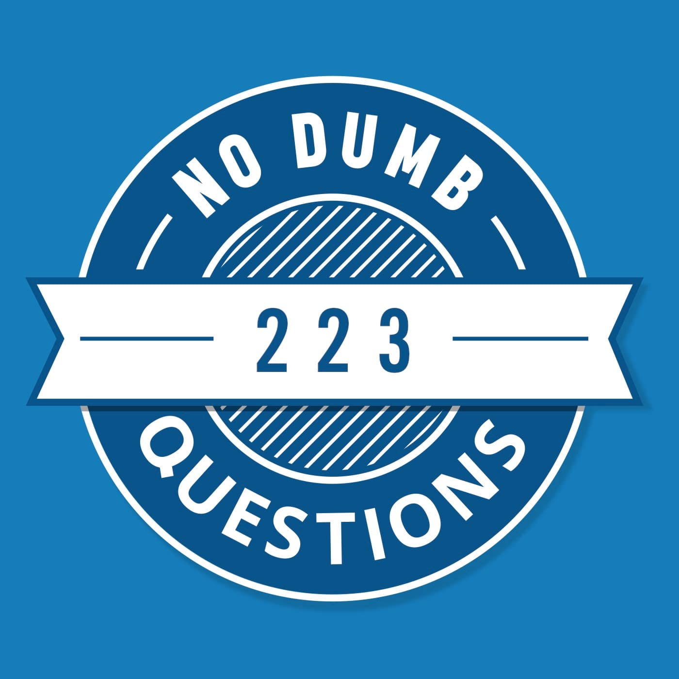 223 - How Does Respect Work? - No Dumb Questions cover