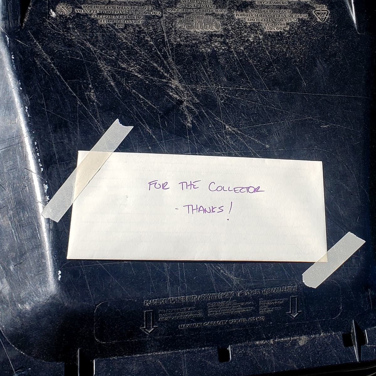 #4457 Trash Decisions - TBTL: Too Beautiful To Live cover