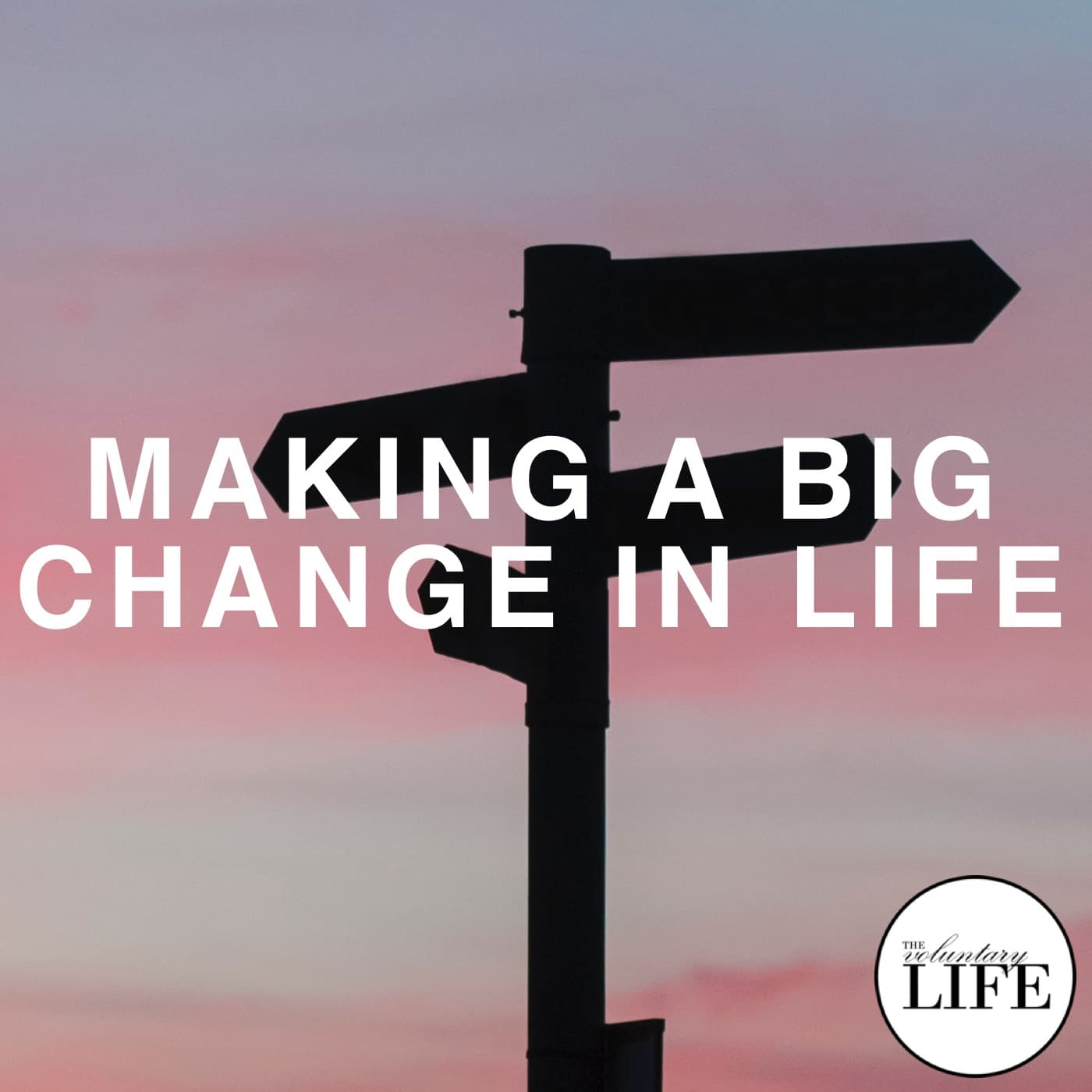 Bonus Episode 13: Making A Big Change In Life - The Voluntary Life cover