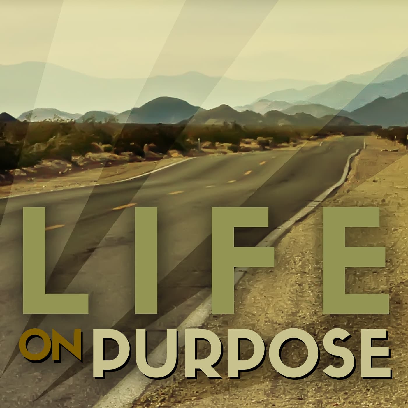 Life on Purpose cover