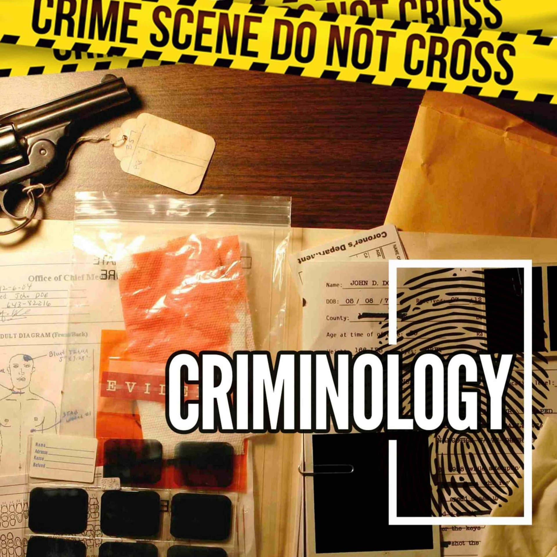 Rachael Runyan - Criminology cover