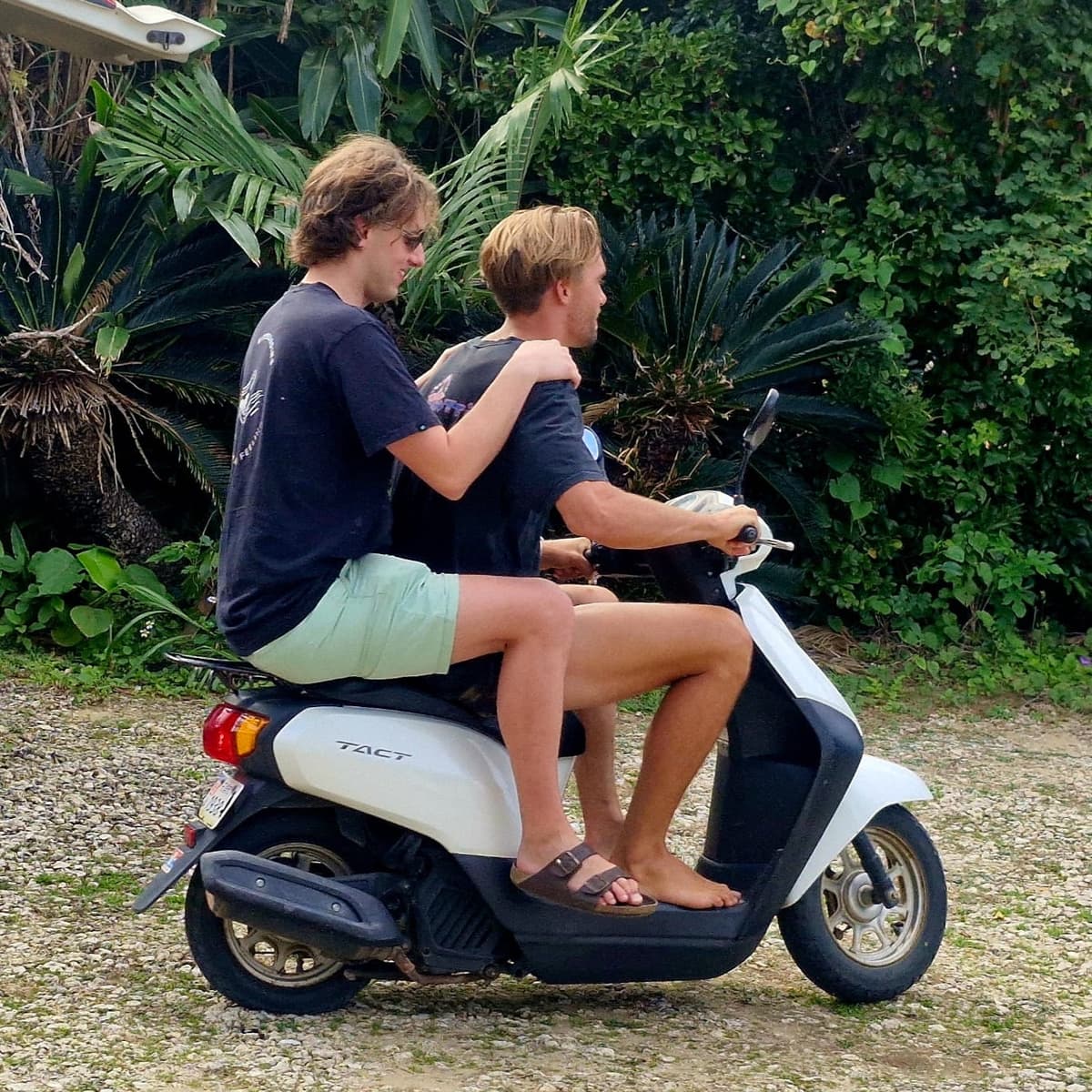 Land Of The Rising Sun | The Megapod - Kitesurf365 cover