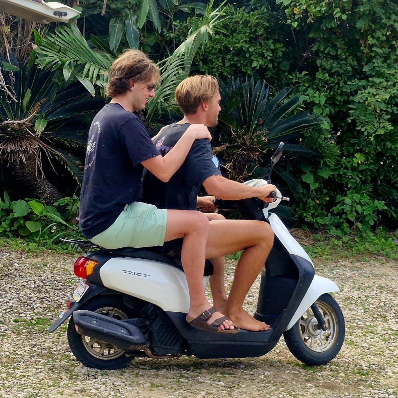 Land Of The Rising Sun | The Megapod - Kitesurf365 cover