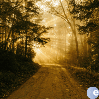 The Path Towards God — EncounterPodcast cover