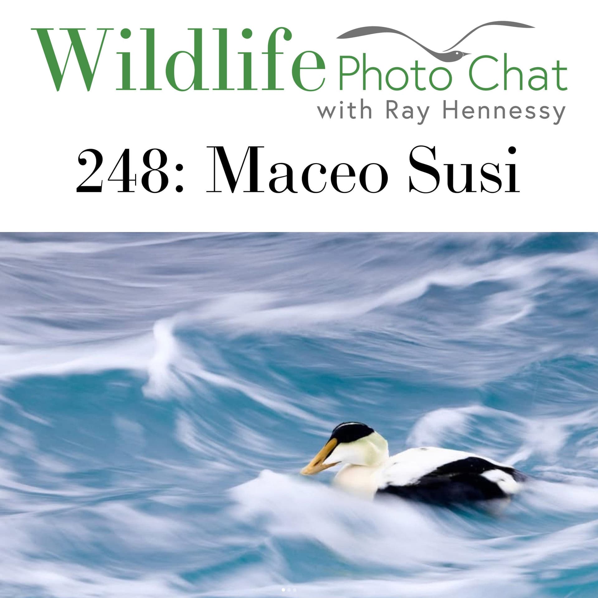 248: Maceo Susi - Wildlife Photo Chat cover