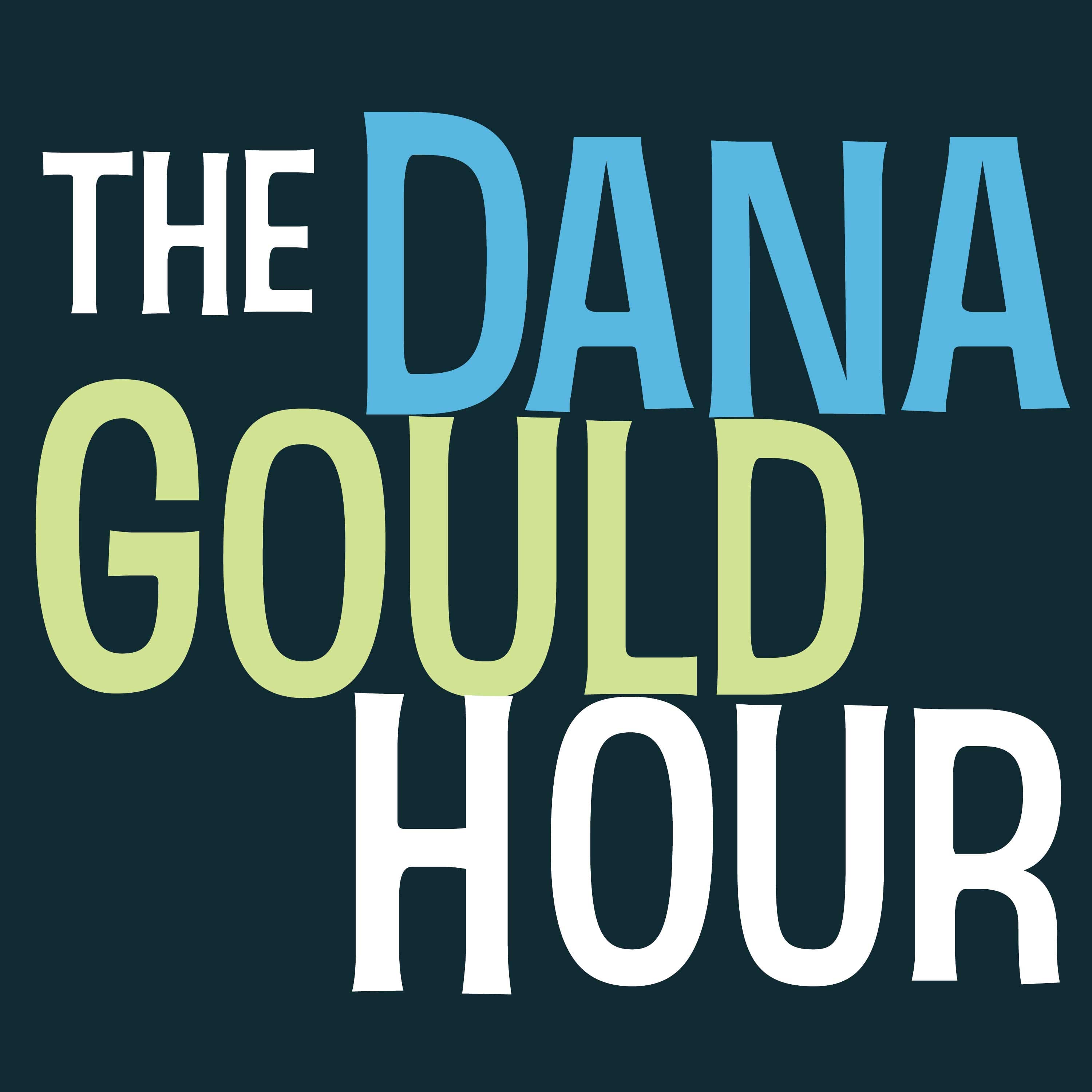 The Dana Gould Hour cover