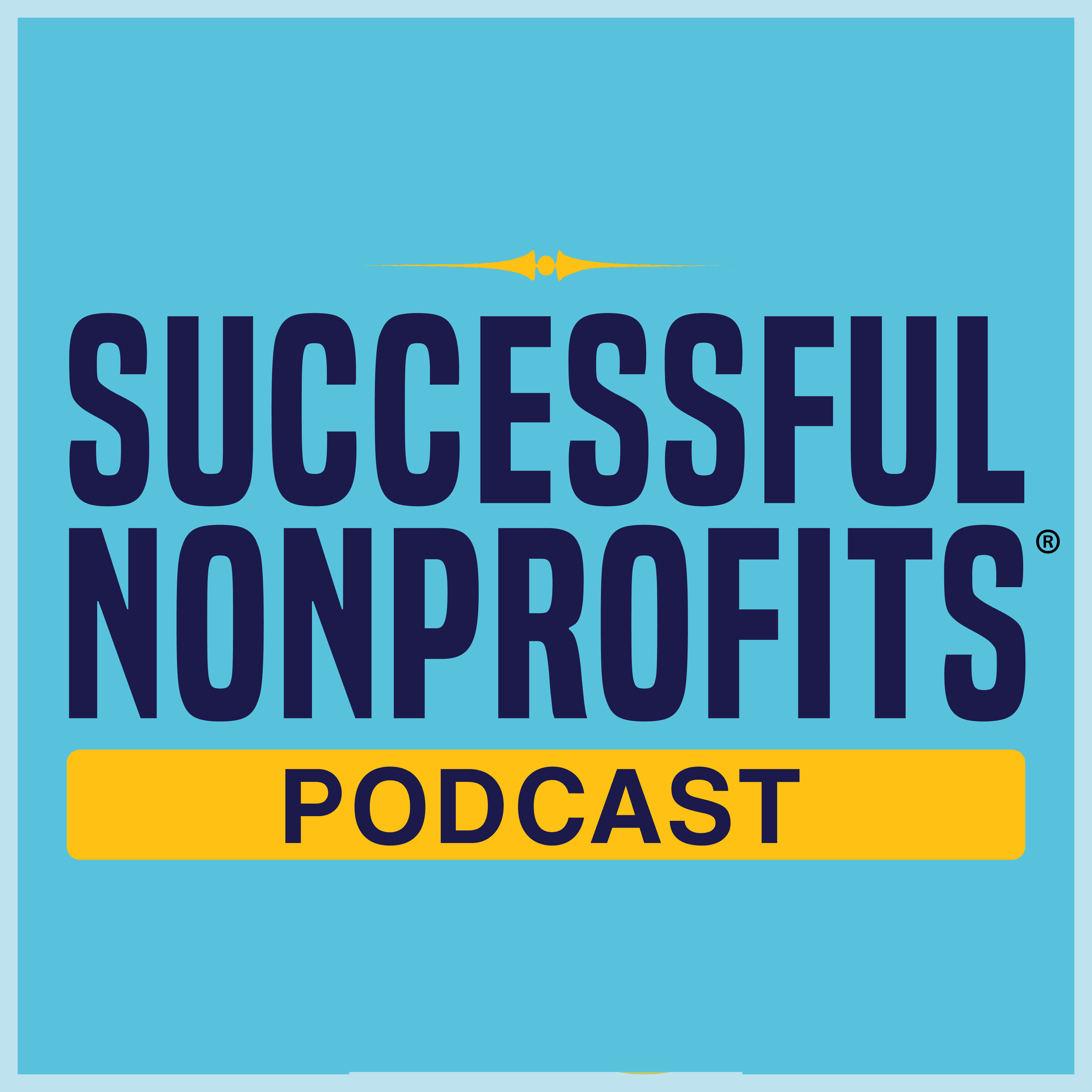 Successful Nonprofits Podcast cover