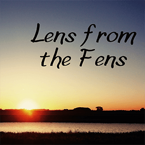 Reptiles of the UK - Lens from the Fens cover