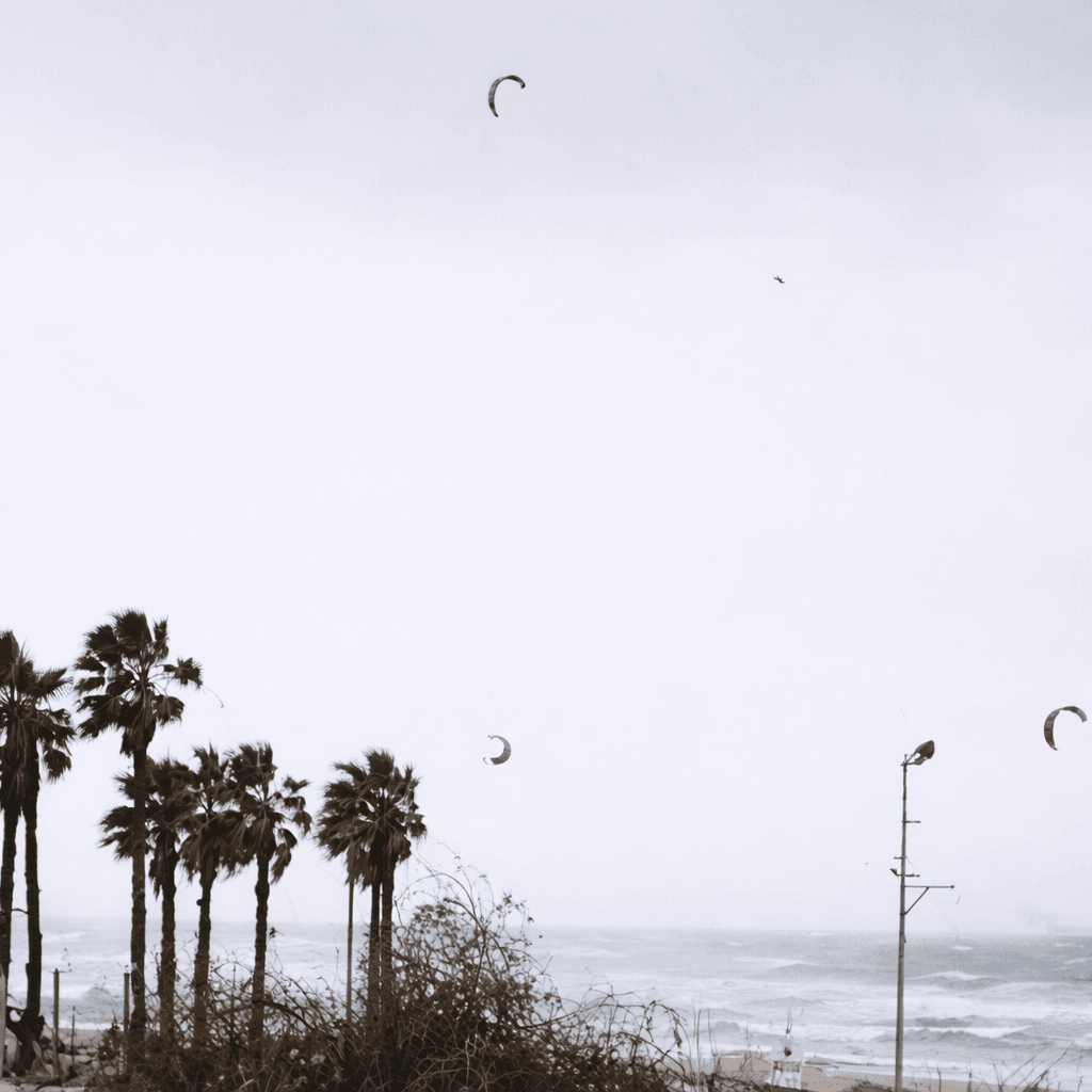 Doran Bas | Episode # 420 - Kitesurf365 cover