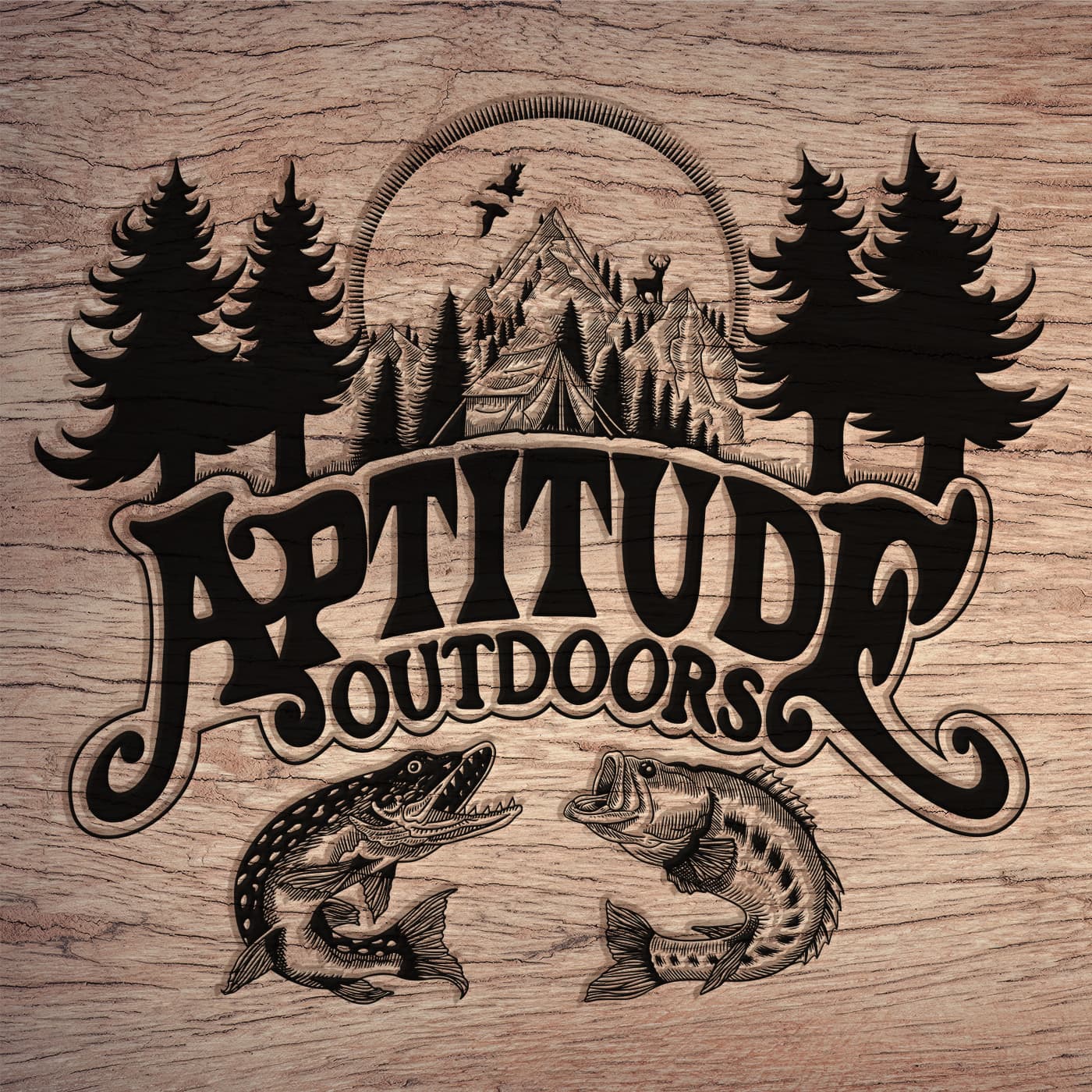 Aptitude Outdoors Podcast cover