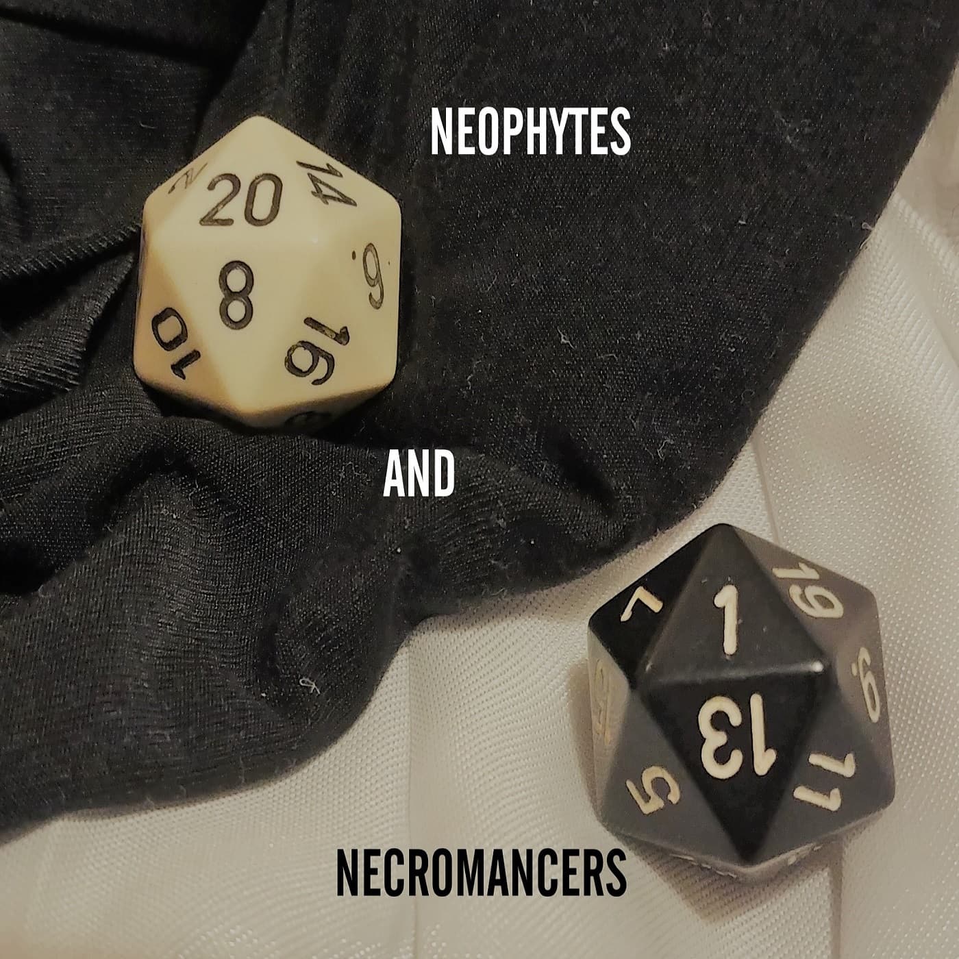 Neophytes and Necromancers cover