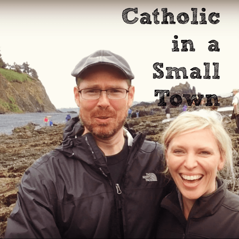 Catholic in a Small Town cover