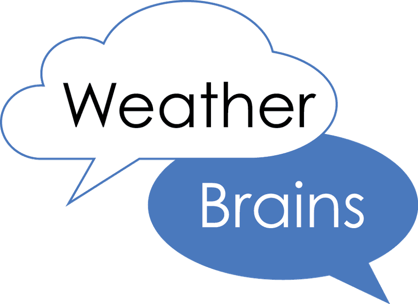 WeatherBrains cover