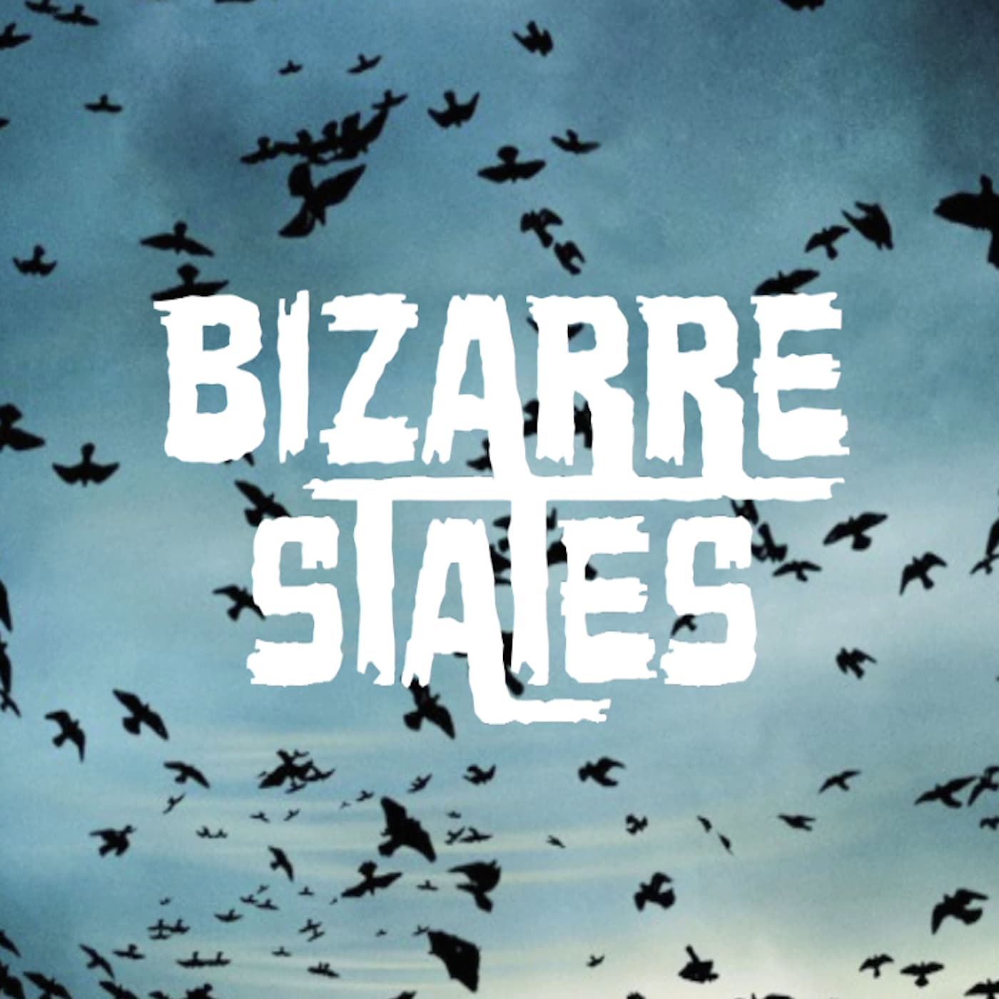 Bizarre States cover