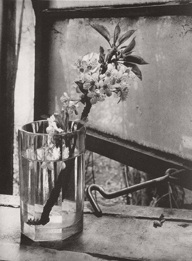 Vidro Azul de 22 de Outubro de 2025 - Vidro Azul cover