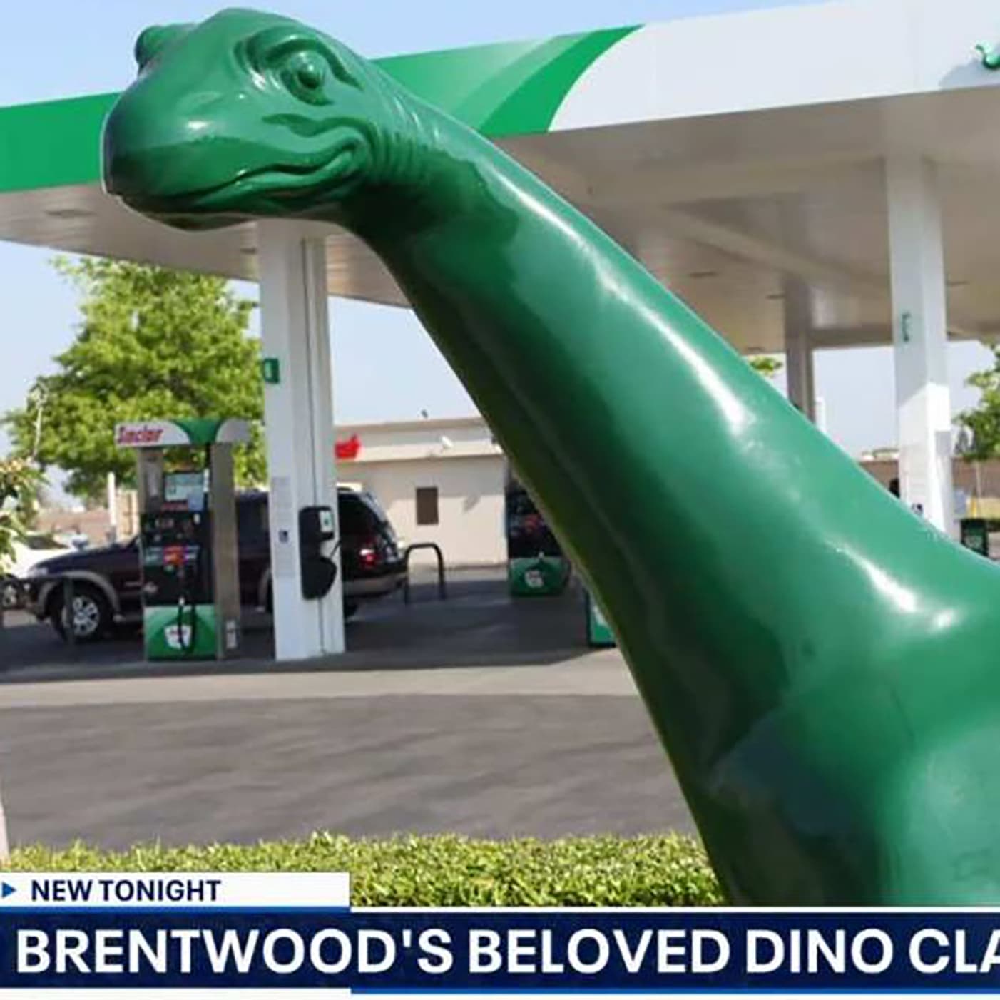 #4576 Who Killed Bugs Meany? - TBTL: Too Beautiful To Live cover