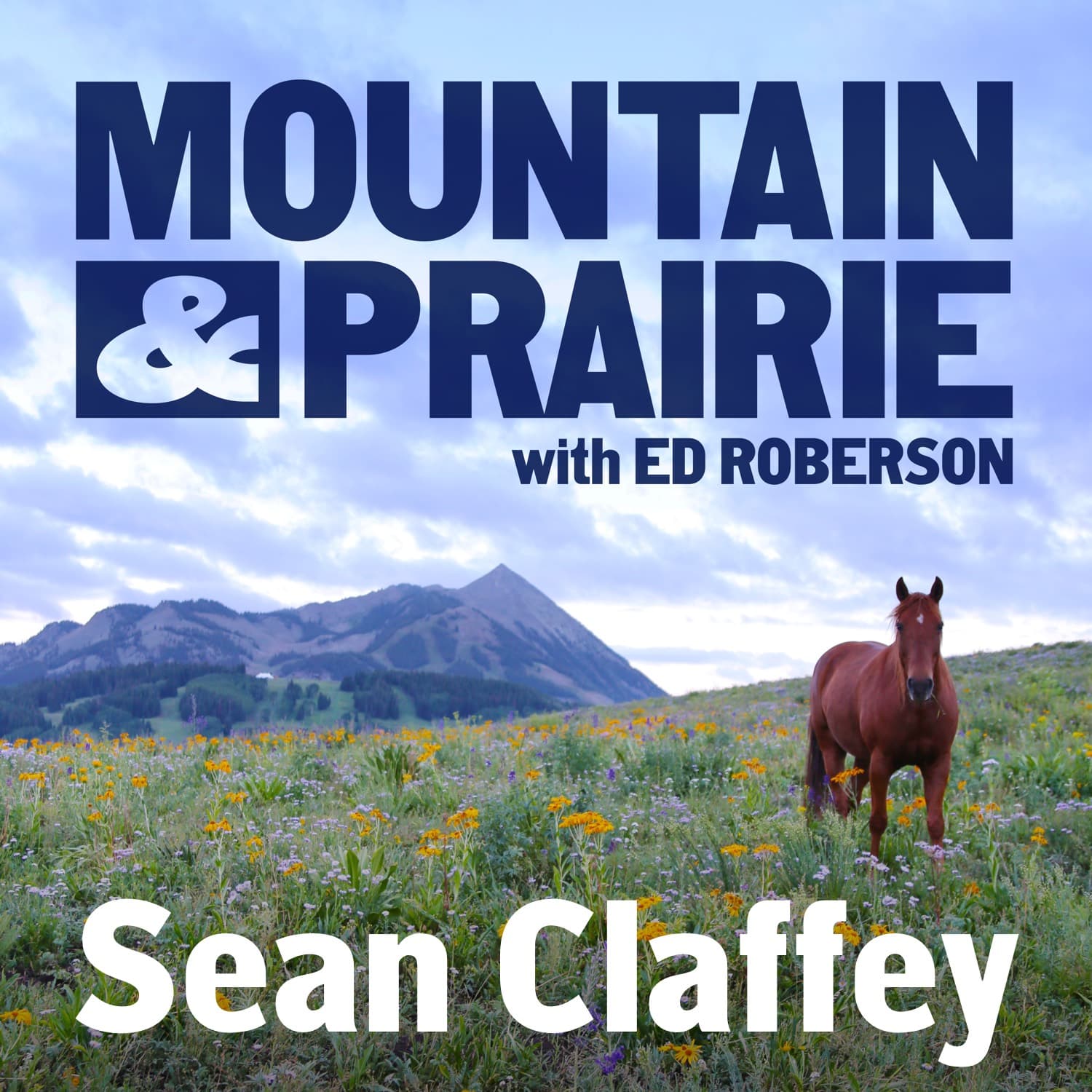 Sean Claffey – A Resilient Vision for Sagebrush Country — Mountain & Prairie with Ed Roberson cover