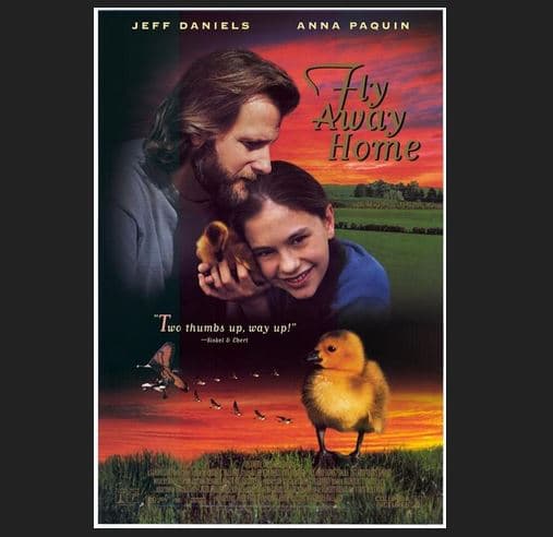 Marooned and Lost In Space! - Hangar49 cover