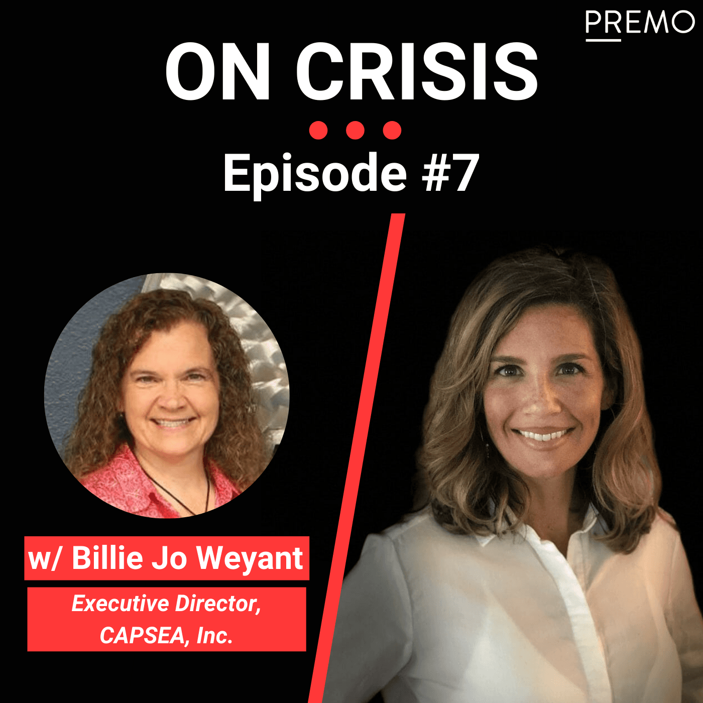 Episode 7 w/ Billie Jo Weyant, Executive Director of CAPSEA — On Crisis with Joanna Doven cover