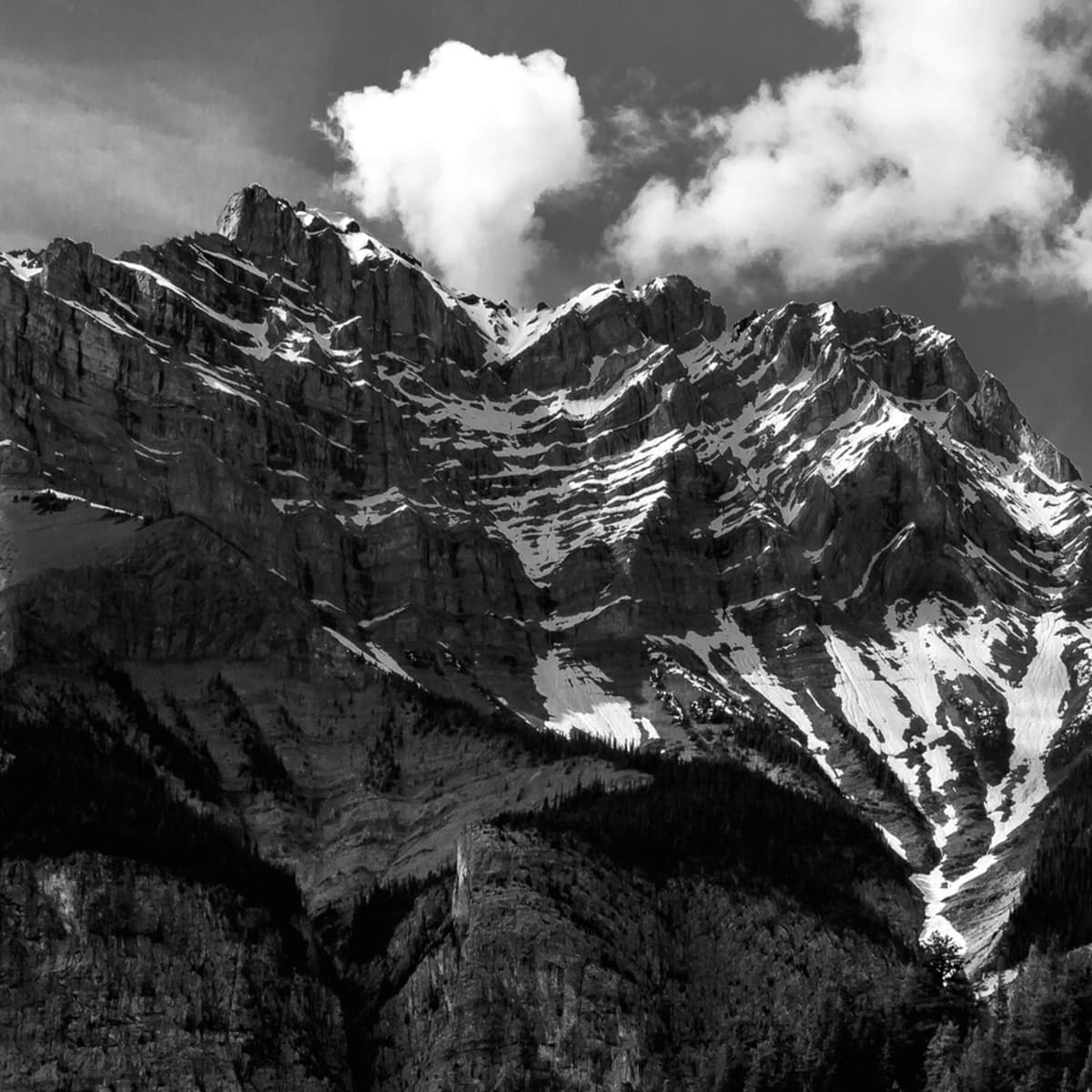 #39 — Free Will Revisited - Making Sense with Sam Harris cover