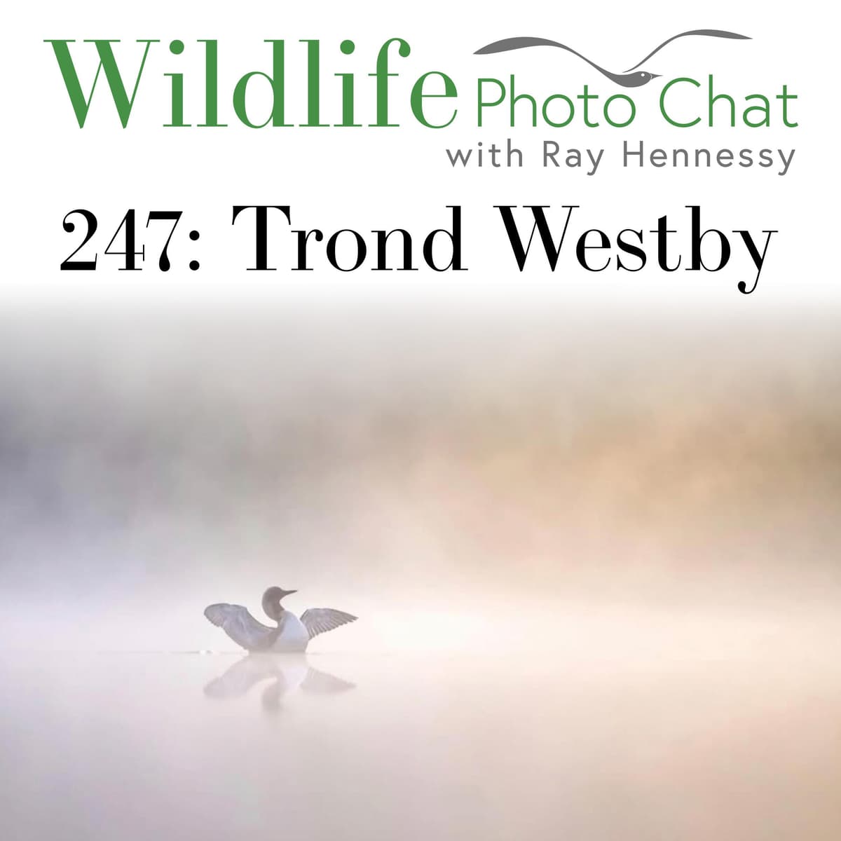 247: Trond Westby - Wildlife Photo Chat cover