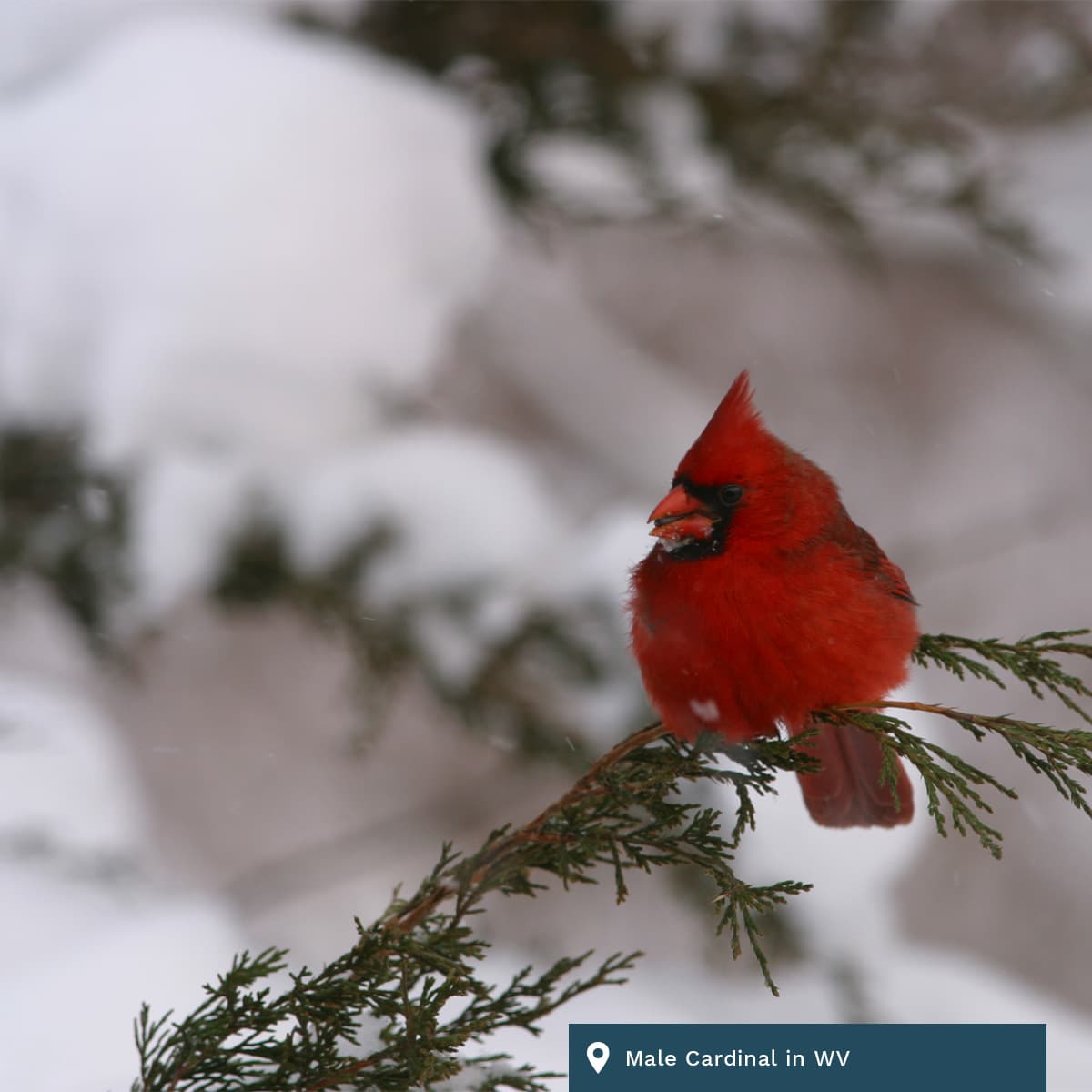 daily304 – Episode 02.24.2026 - daily304's podcast cover