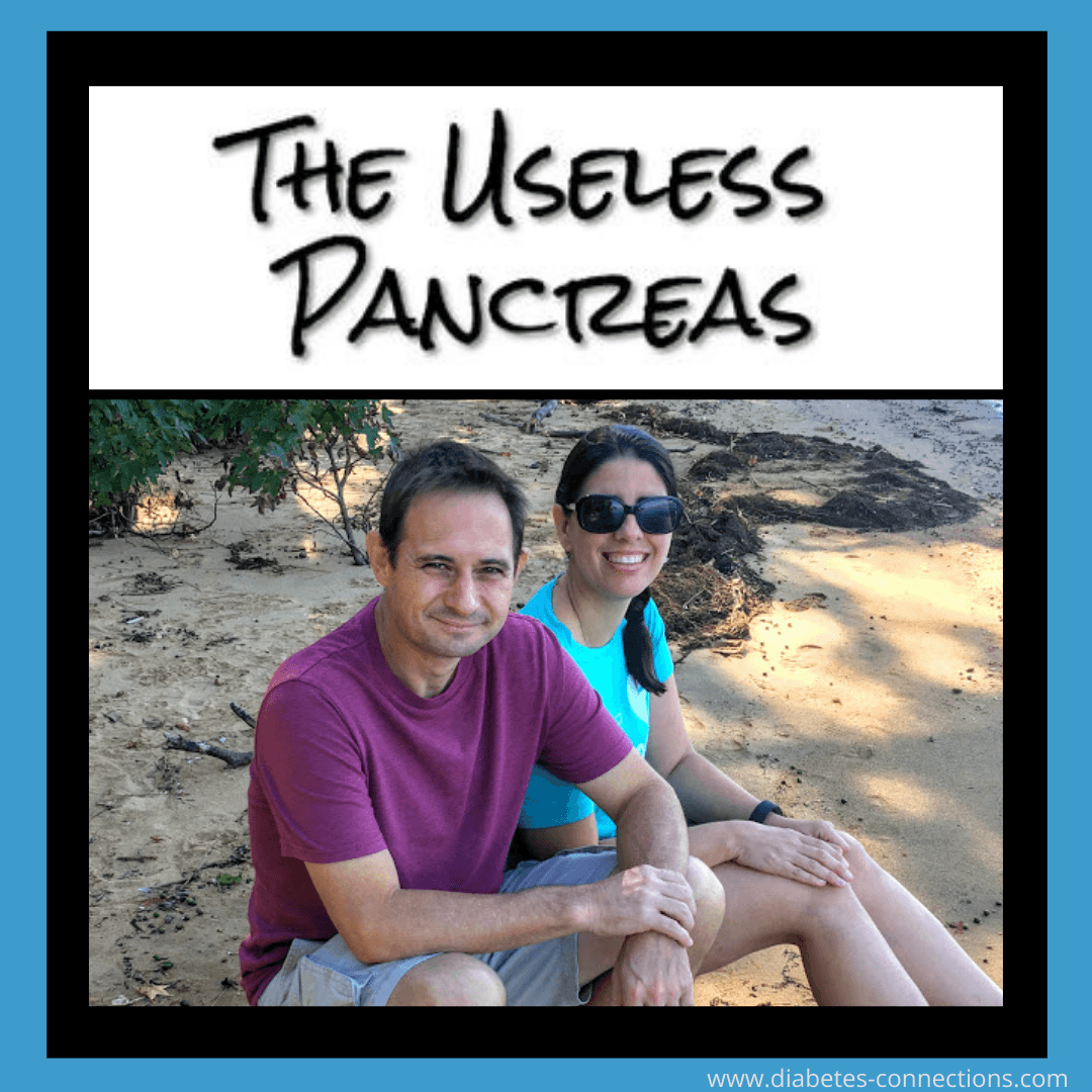 The Useless Pancreas: A New Place to Find Type 1 Diabetes Products - Diabetes Connections | Type 1 Diabetes cover