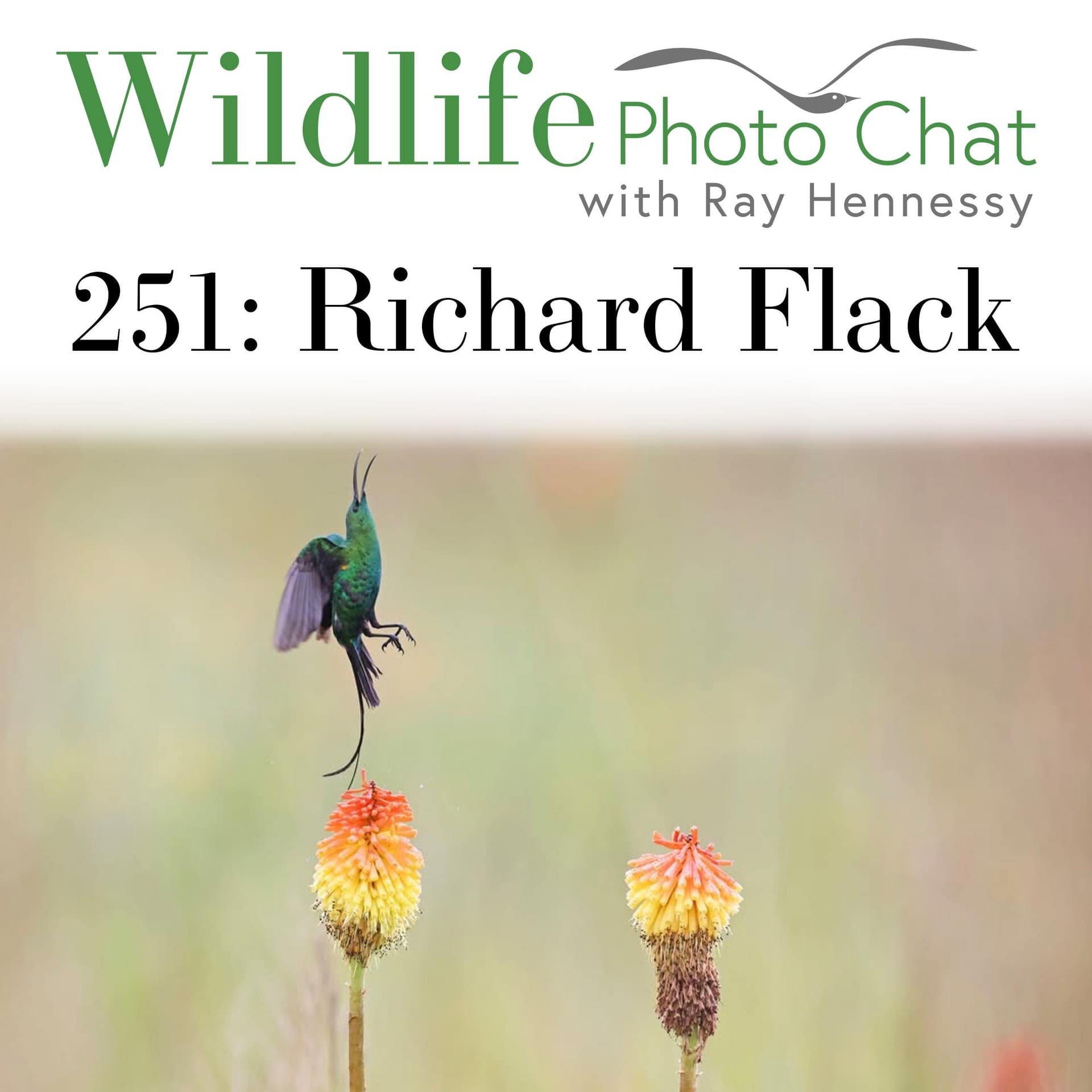 251: Richard Flack - Wildlife Photo Chat cover