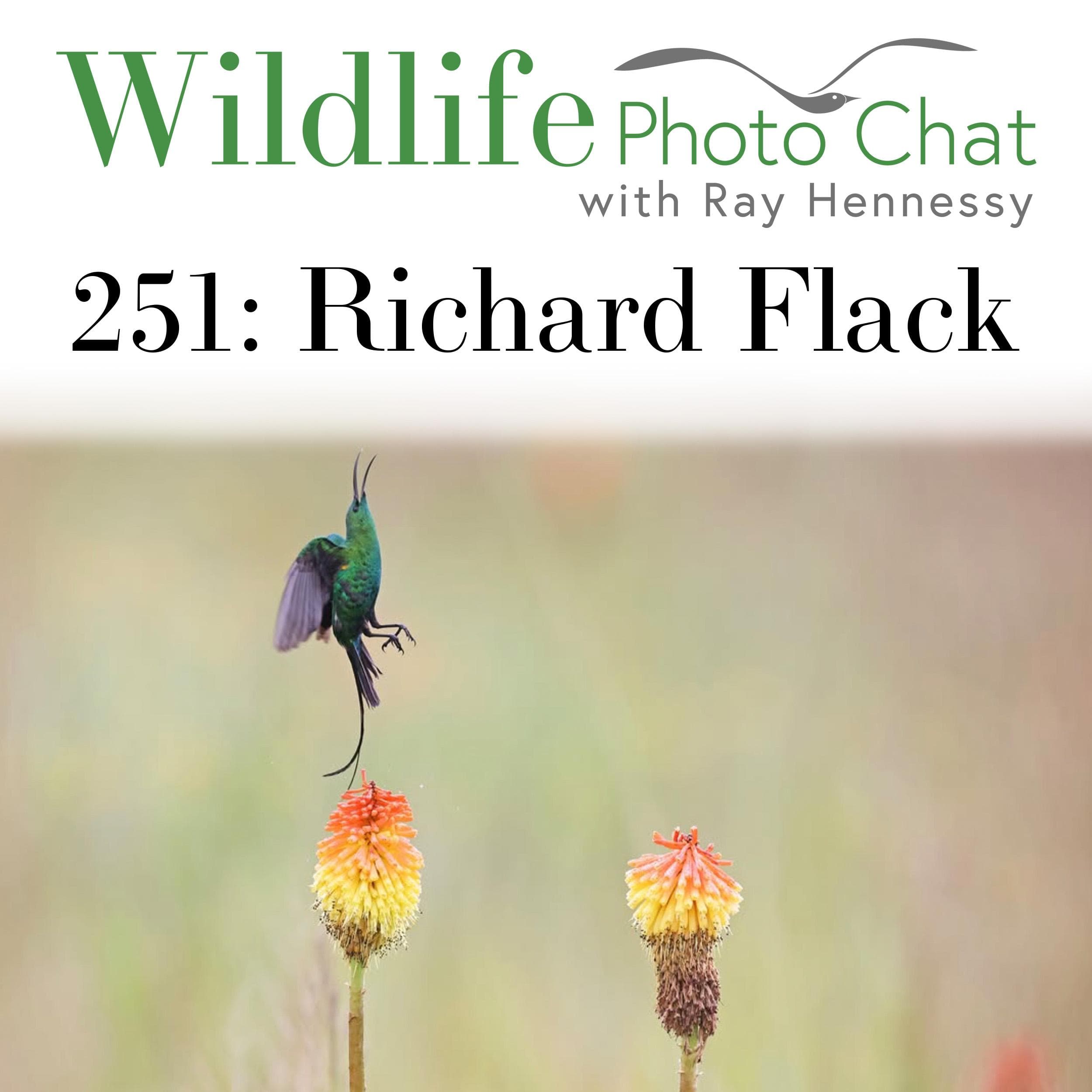 251: Richard Flack - Wildlife Photo Chat cover