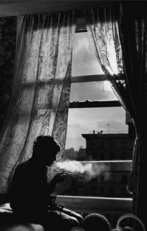 Vidro Azul de 11 de Julho de 2025 - Vidro Azul cover