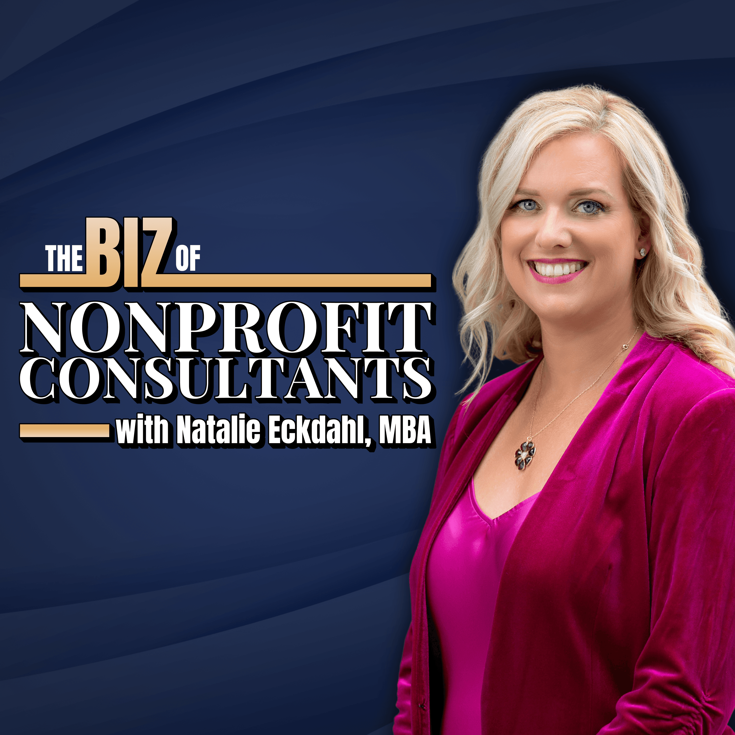 The Biz of Nonprofit Consultants cover