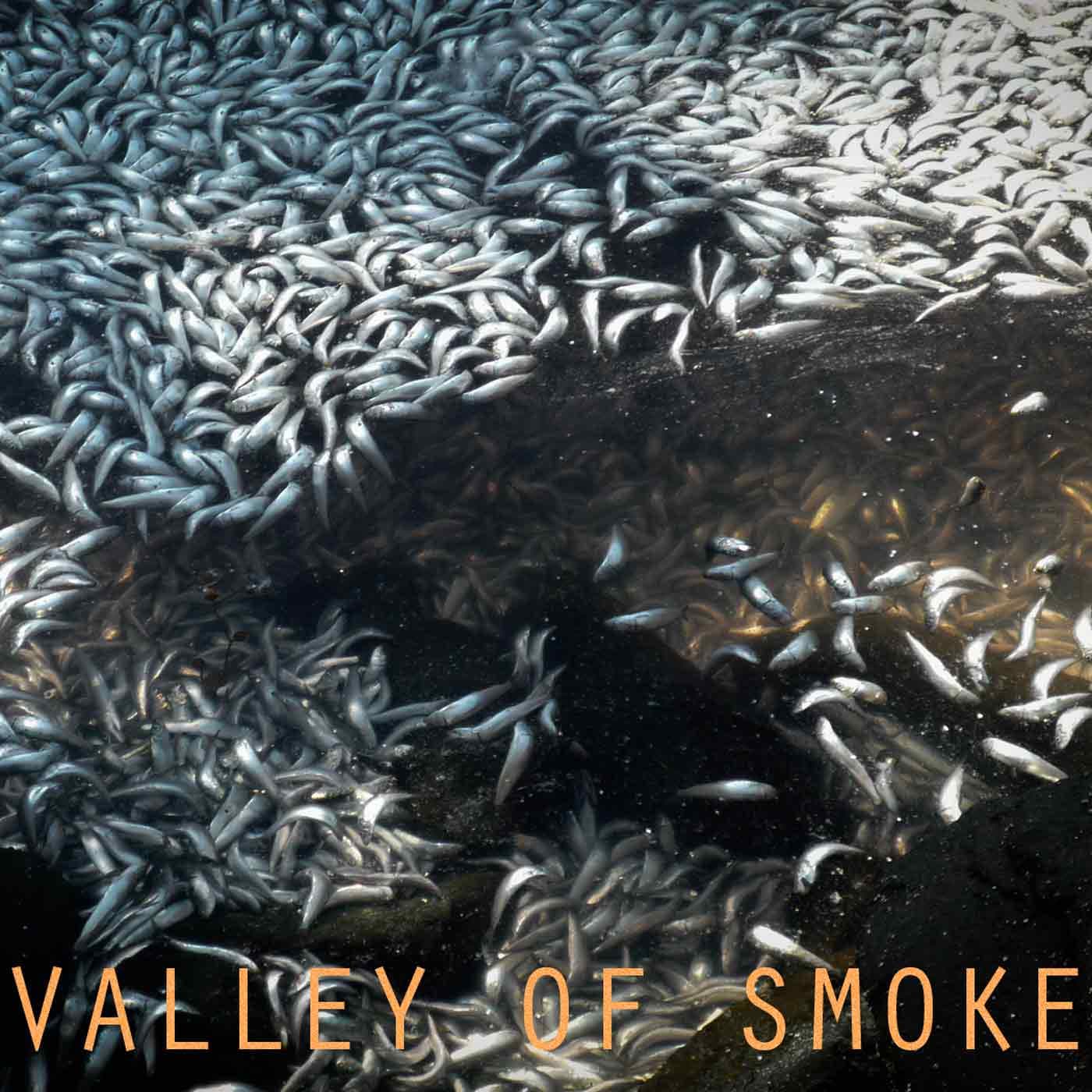 004 Working Without A Net - Valley of Smoke cover