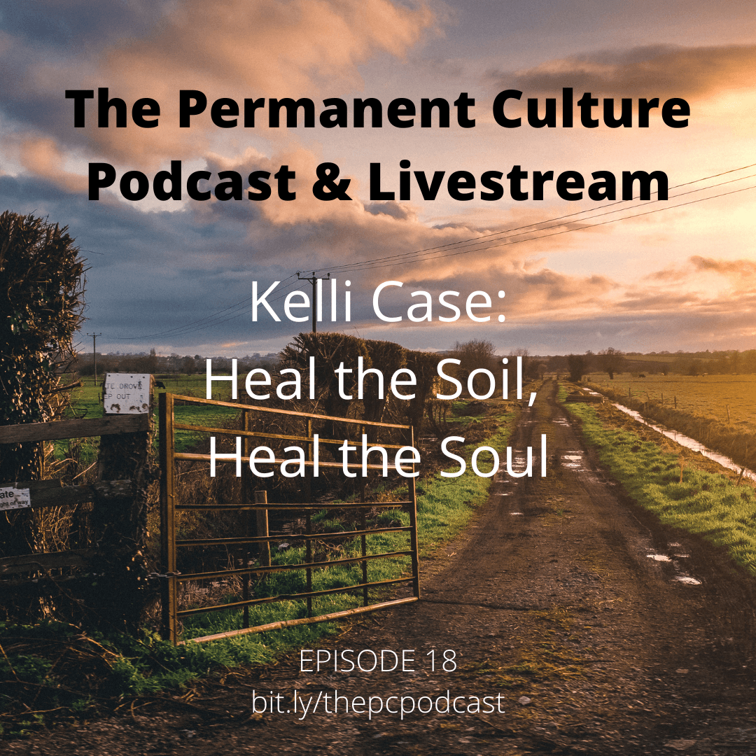 Kelli Case - Heal the Soil, Heal the Soul - The Permanent Culture Podcast cover