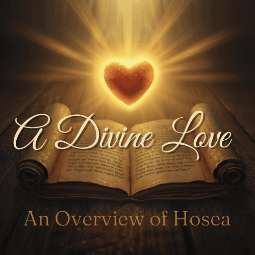 A DIVINE LOVE: A Overview of Hosea - Food For The Flock cover