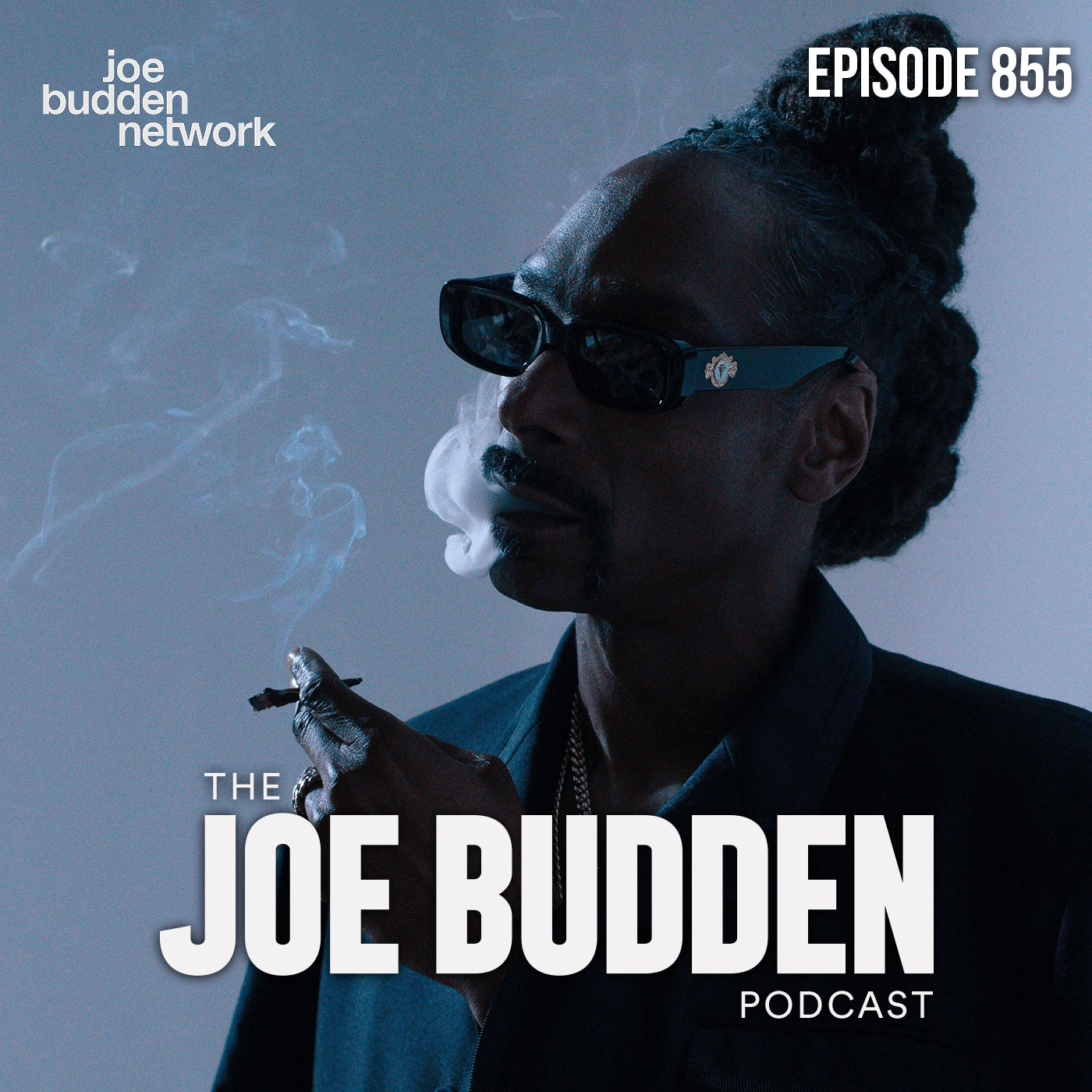 Episode 855 | "You Let Andrew Tate Down" - The Joe Budden Podcast cover