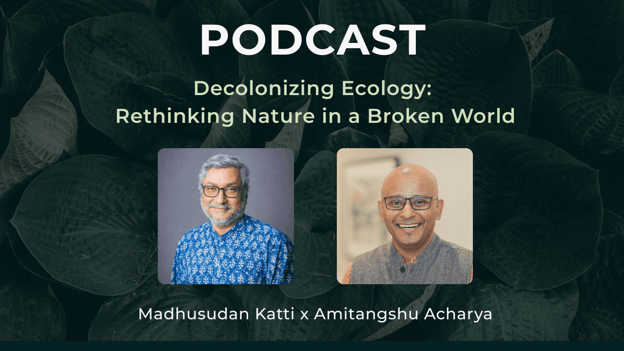 Decolonizing Ecology: Rethinking Nature in a Broken World - This View of Life cover