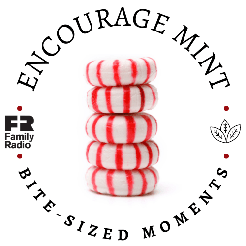 Encourage Mint cover