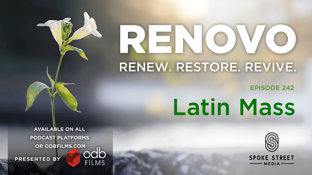 Renovo Episode 242: Latin Mass - Renovo Podcast cover