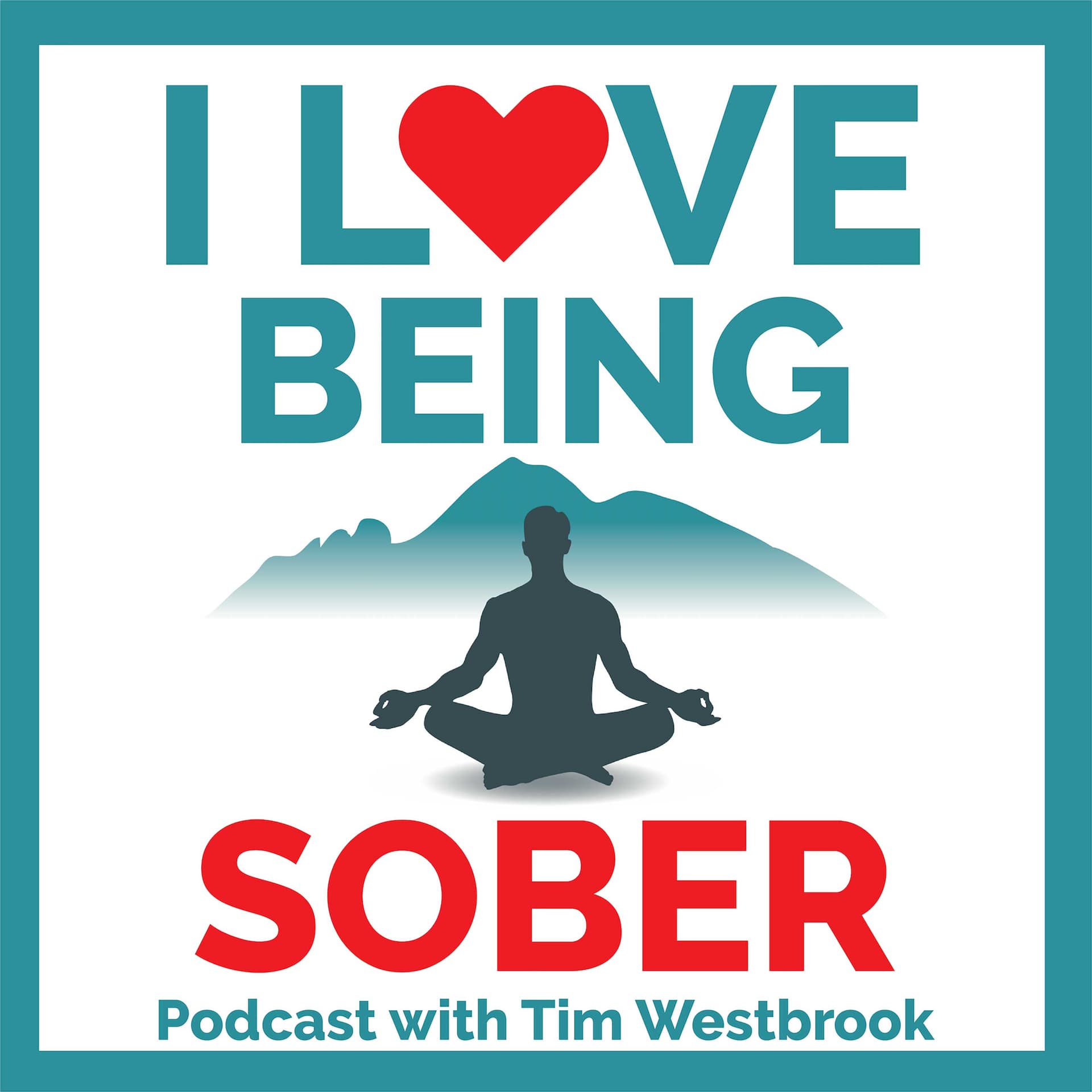 I Love Being Sober cover