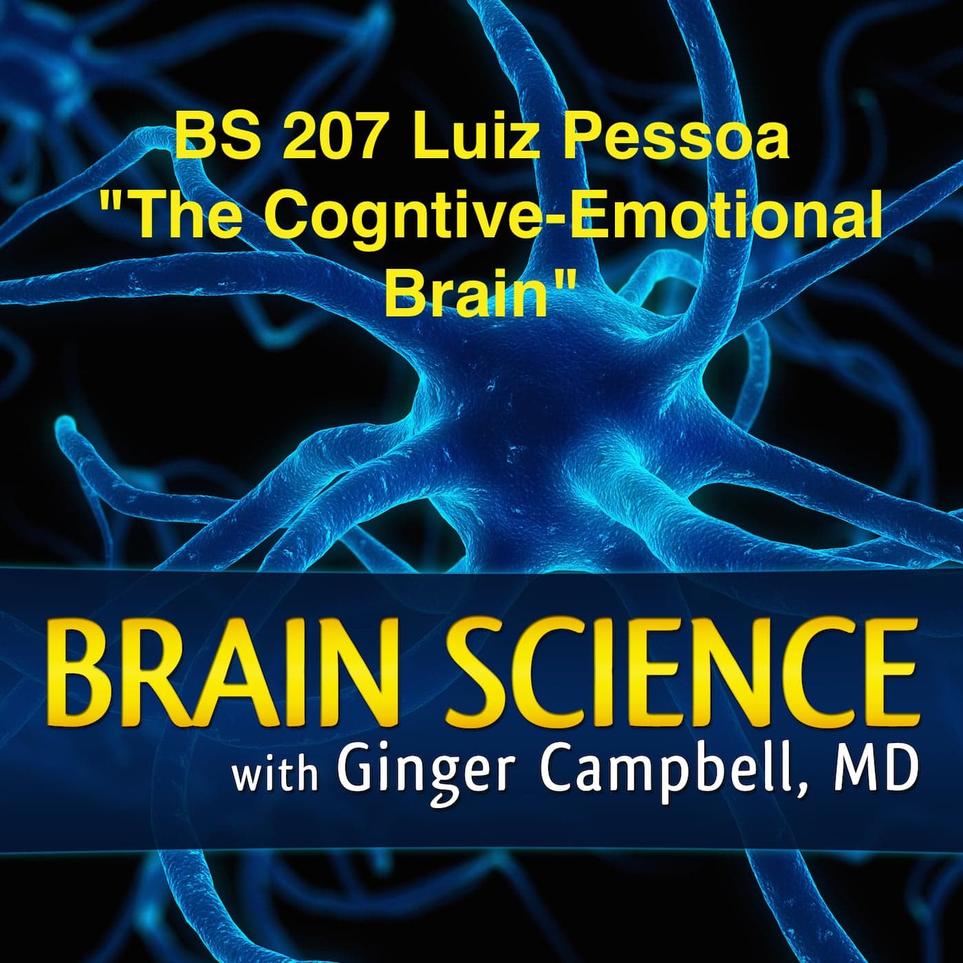 BS 207 Luiz Pessoa "The Cognitive-Emotional Brain" — Brain Science with Ginger Campbell, MD: Neuroscience for Everyone cover
