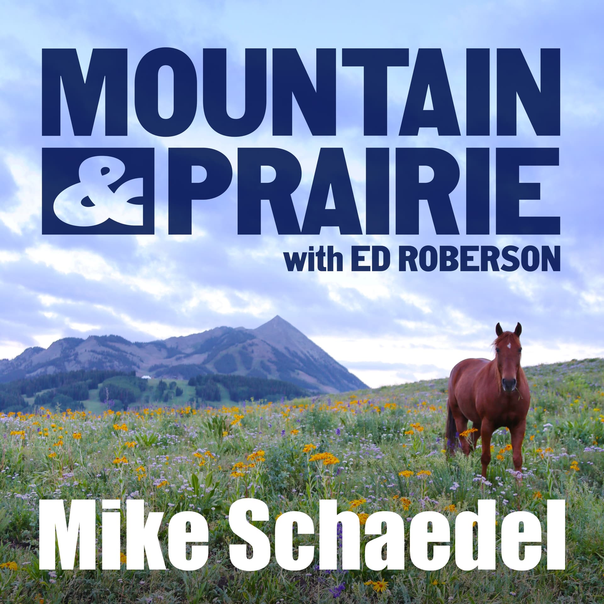 Mike Schaedel - Restoring Balance to Fire-Adapted Landscapes — Mountain & Prairie with Ed Roberson cover