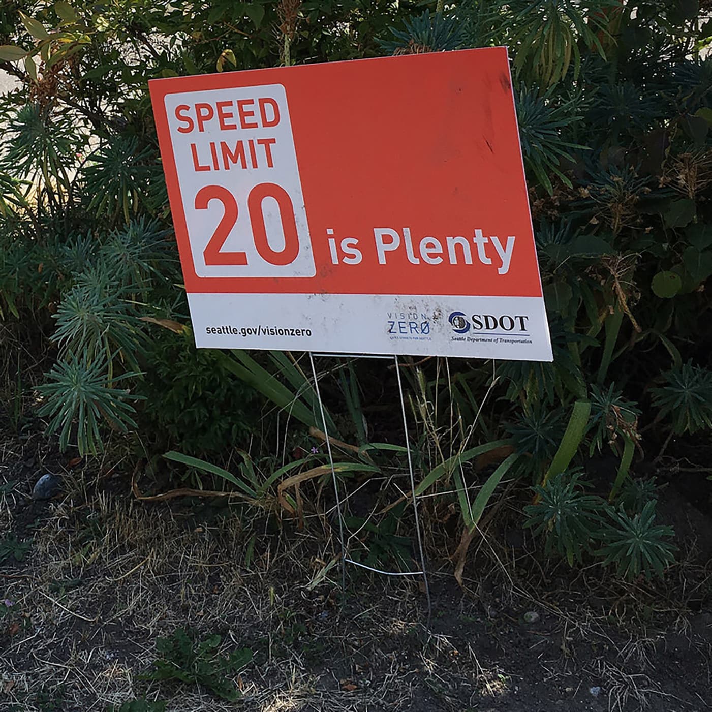 #4535 Pay To Complain - TBTL: Too Beautiful To Live cover