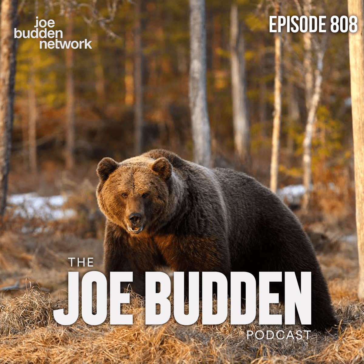 Episode 808 | "Meet Me At The Police Station" - The Joe Budden Podcast cover
