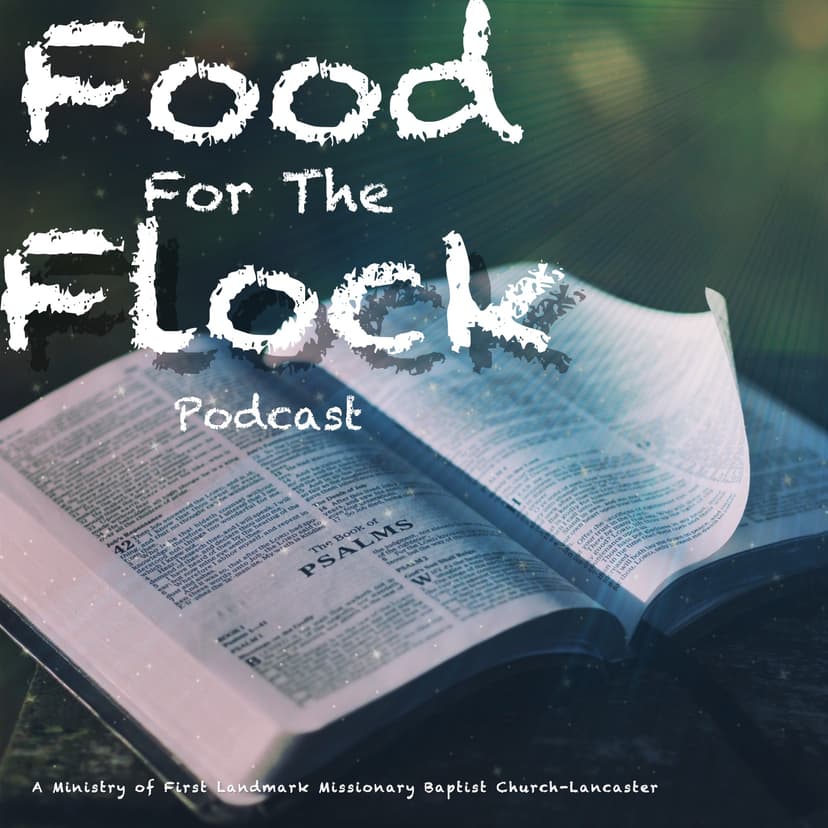 Food For The Flock cover