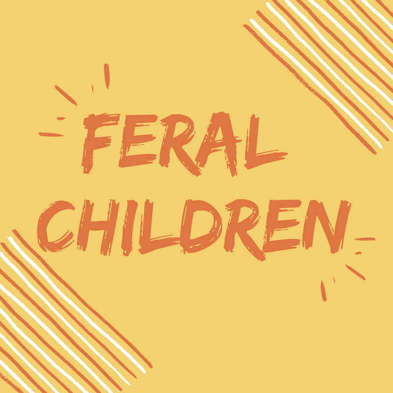 Feral Children - Blanket Fort Mysteries (In Sight Jr) cover